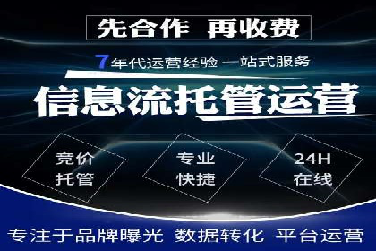 案例研究：竞价广告助力电商行业增长